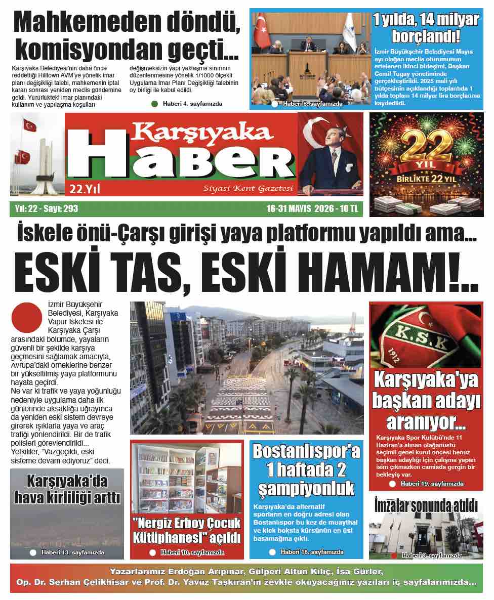 Sayı 293